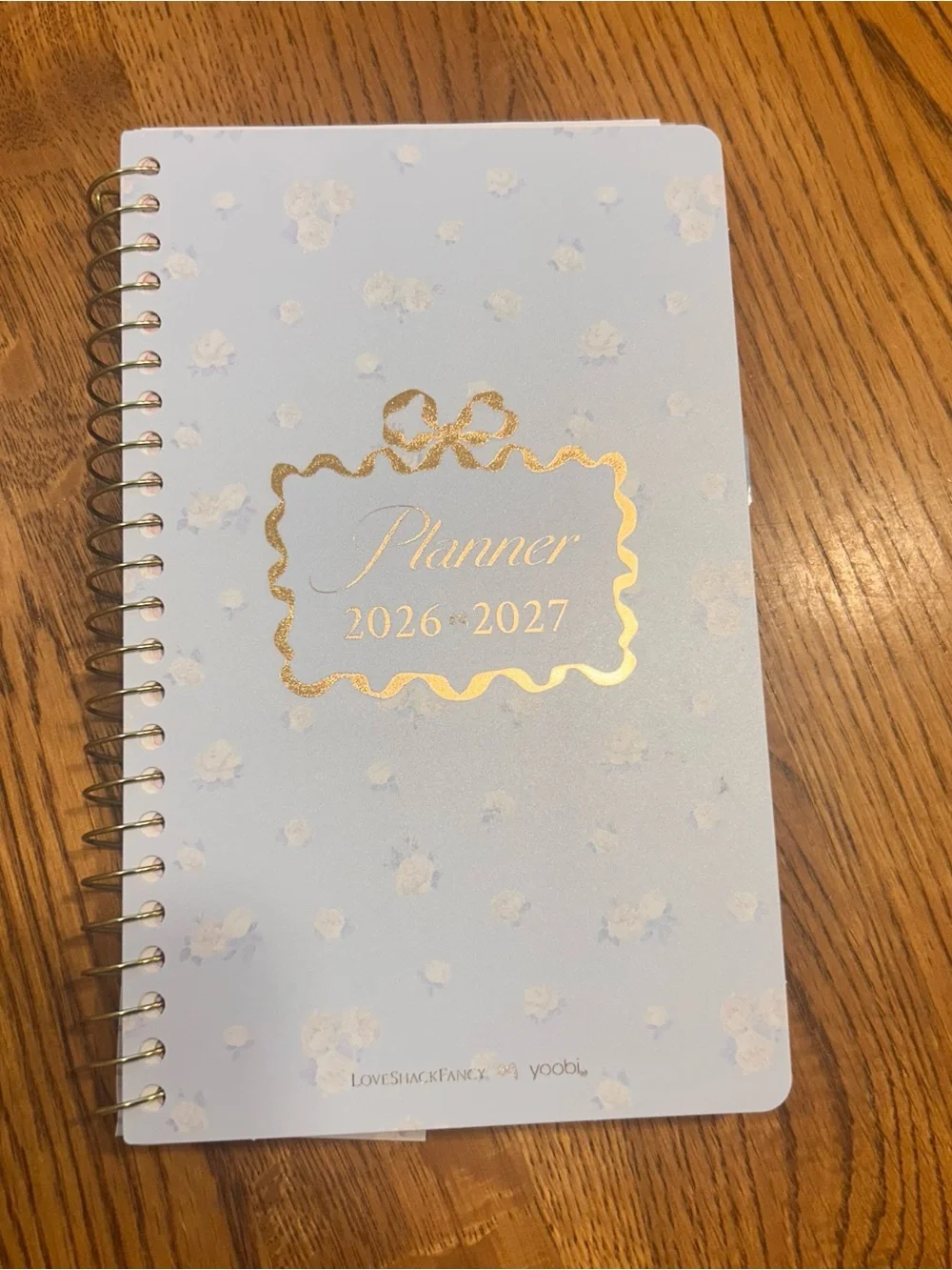 LoveShackFancy x Target Light Blue Floral Weekly/Monthly Planner with Gold Foi